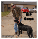 Eric Kinkel & Ted Nugents dog RIP Gonzo
