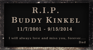 Buddy Kinkel - 11/7/2014 - 9/15/2014 Eric Kinkels  boy pup and forever pal,  Catherine Bachner Luchessi, Catherine  Luchessi, Catherine Lucchesi Glen Ellyn IL, Susan Gustasfon Vernon Hills IL, Catherine Bachner Lucchesi Glen Ellyn IL,  